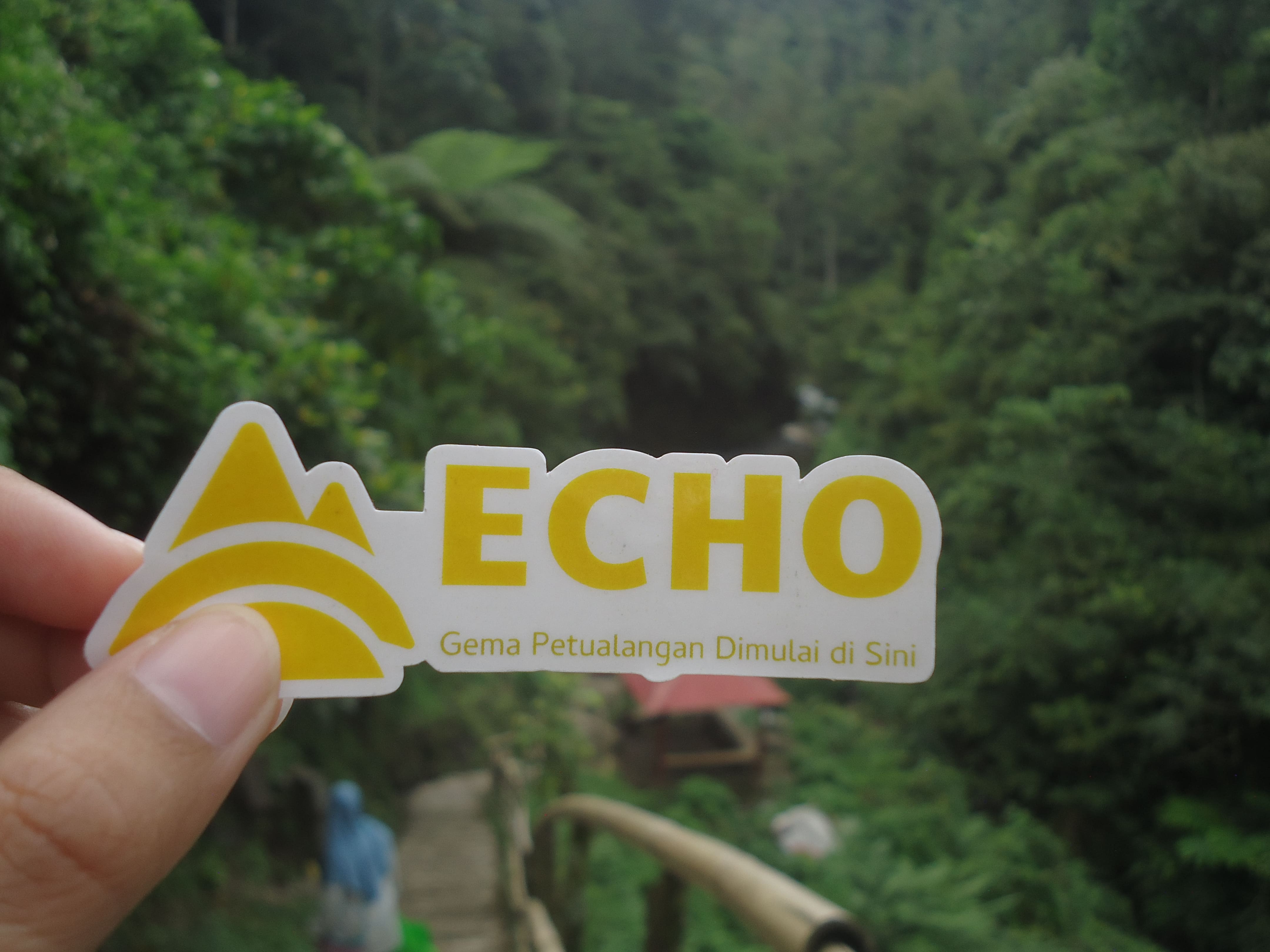 Echo ke telunjuk raung